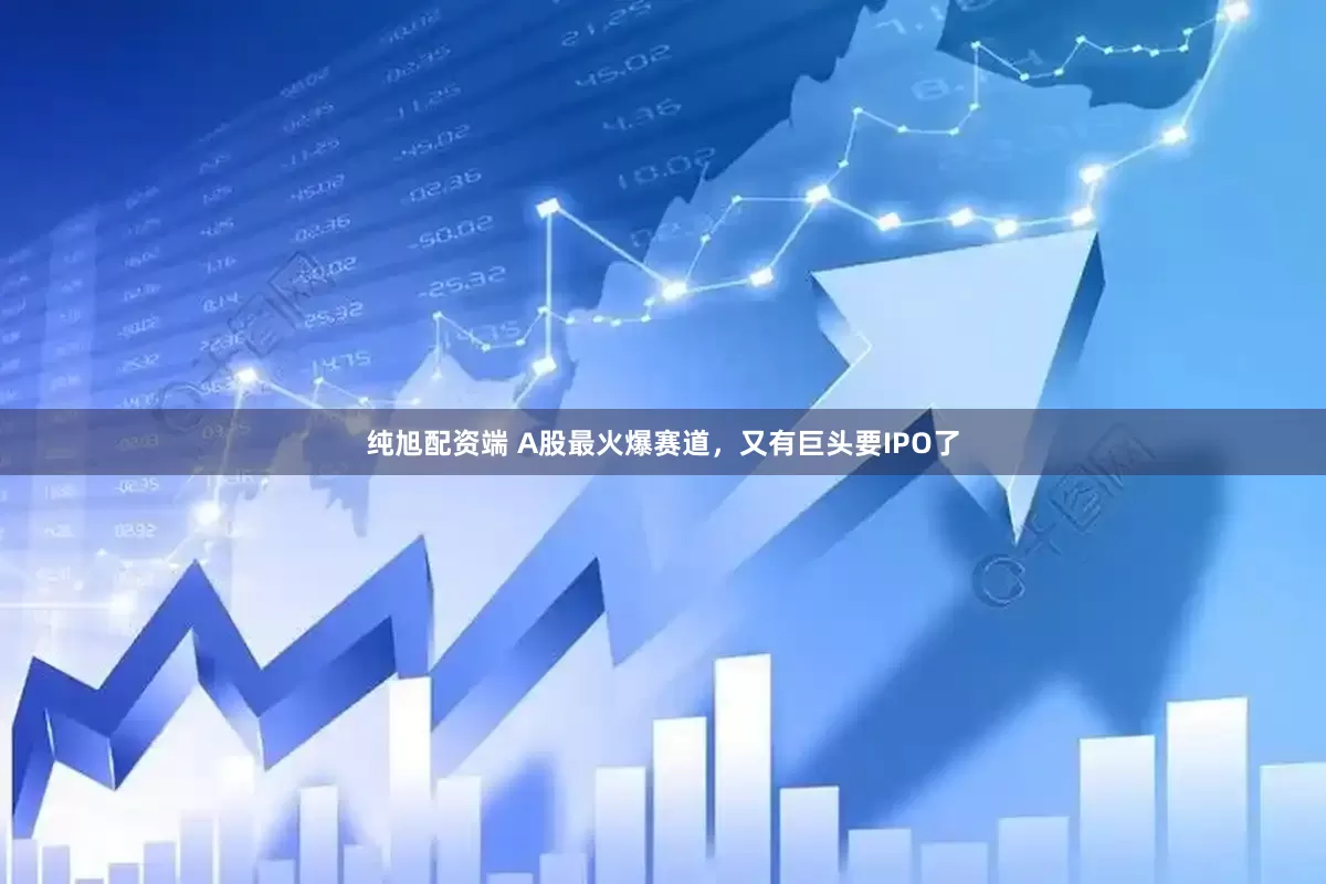 纯旭配资端 A股最火爆赛道，又有巨头要IPO了