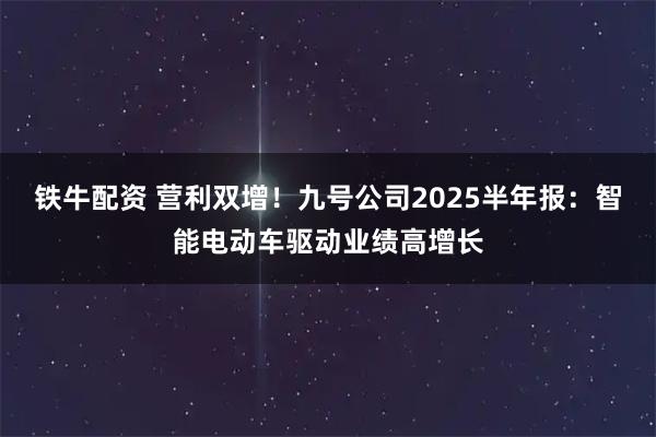 铁牛配资 营利双增！九号公司2025半年报：智能电动车驱动业绩高增长