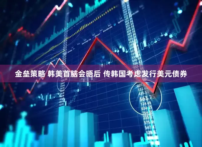 金垒策略 韩美首脑会晤后 传韩国考虑发行美元债券