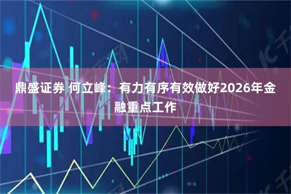 鼎盛证券 何立峰：有力有序有效做好2026年金融重点工作