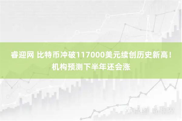 睿迎网 比特币冲破117000美元续创历史新高！机构预测下半年还会涨